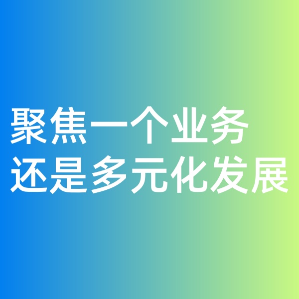鈀碳回收, 聚焦一個業(yè)務(wù)，還是多元化發(fā)展